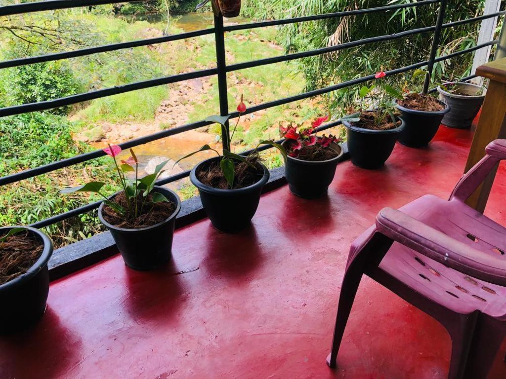 Hotel Vegetable Garden House Nallathanniya Exterior foto