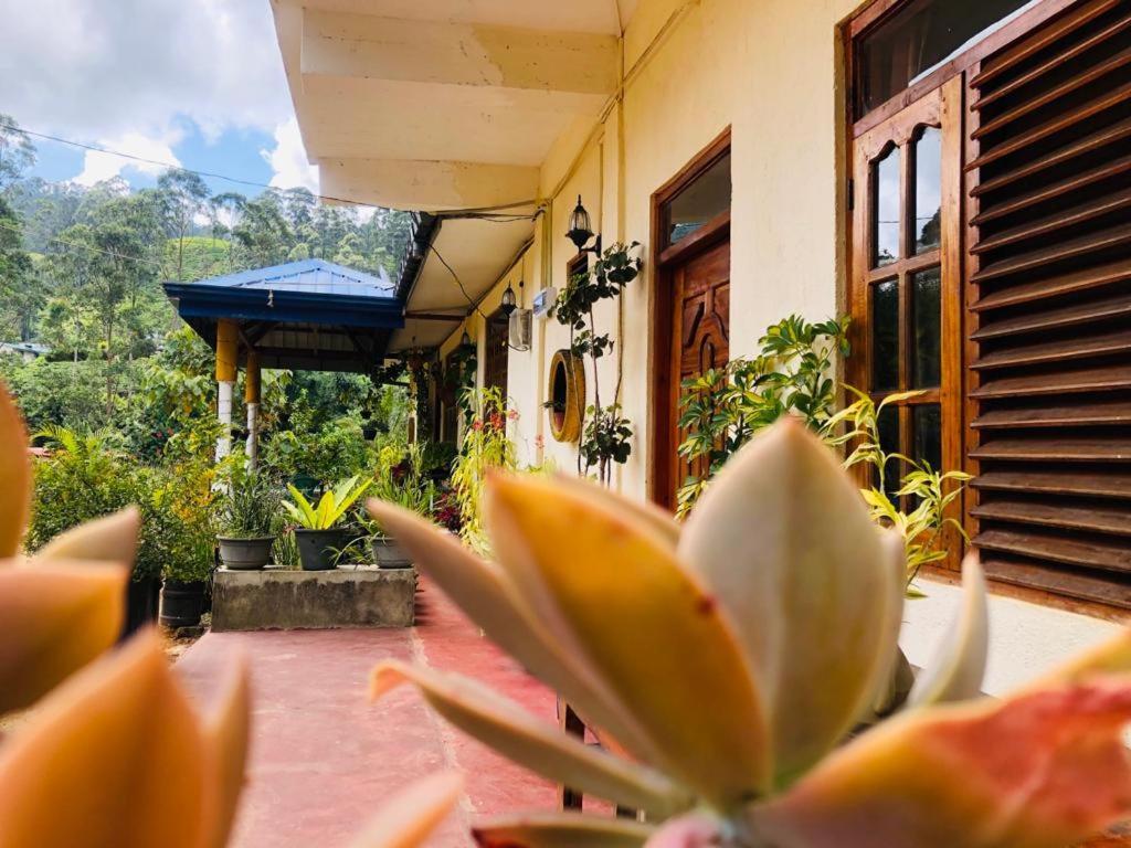 Hotel Vegetable Garden House Nallathanniya Exterior foto