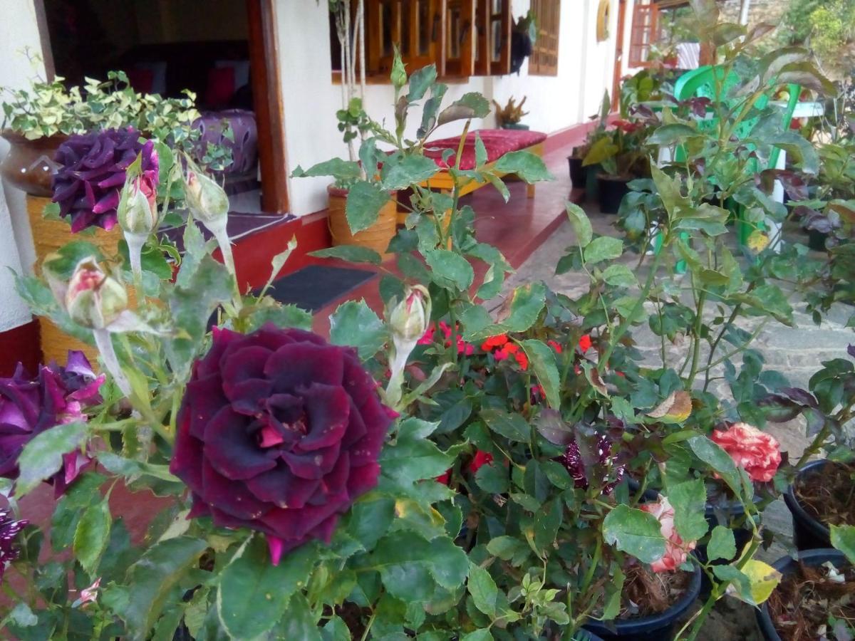Hotel Vegetable Garden House Nallathanniya Exterior foto